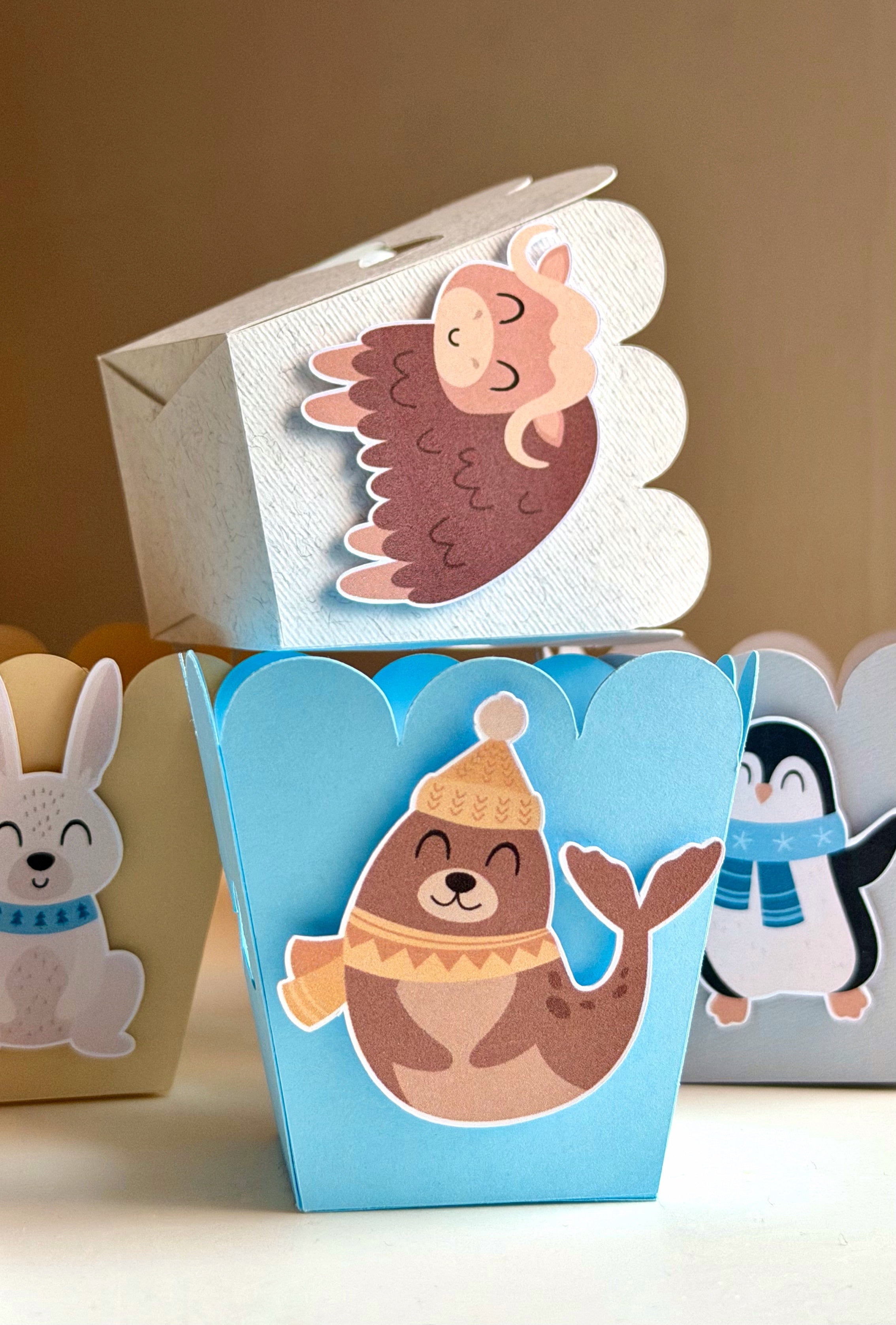 Popcorn & Treat Boxes
