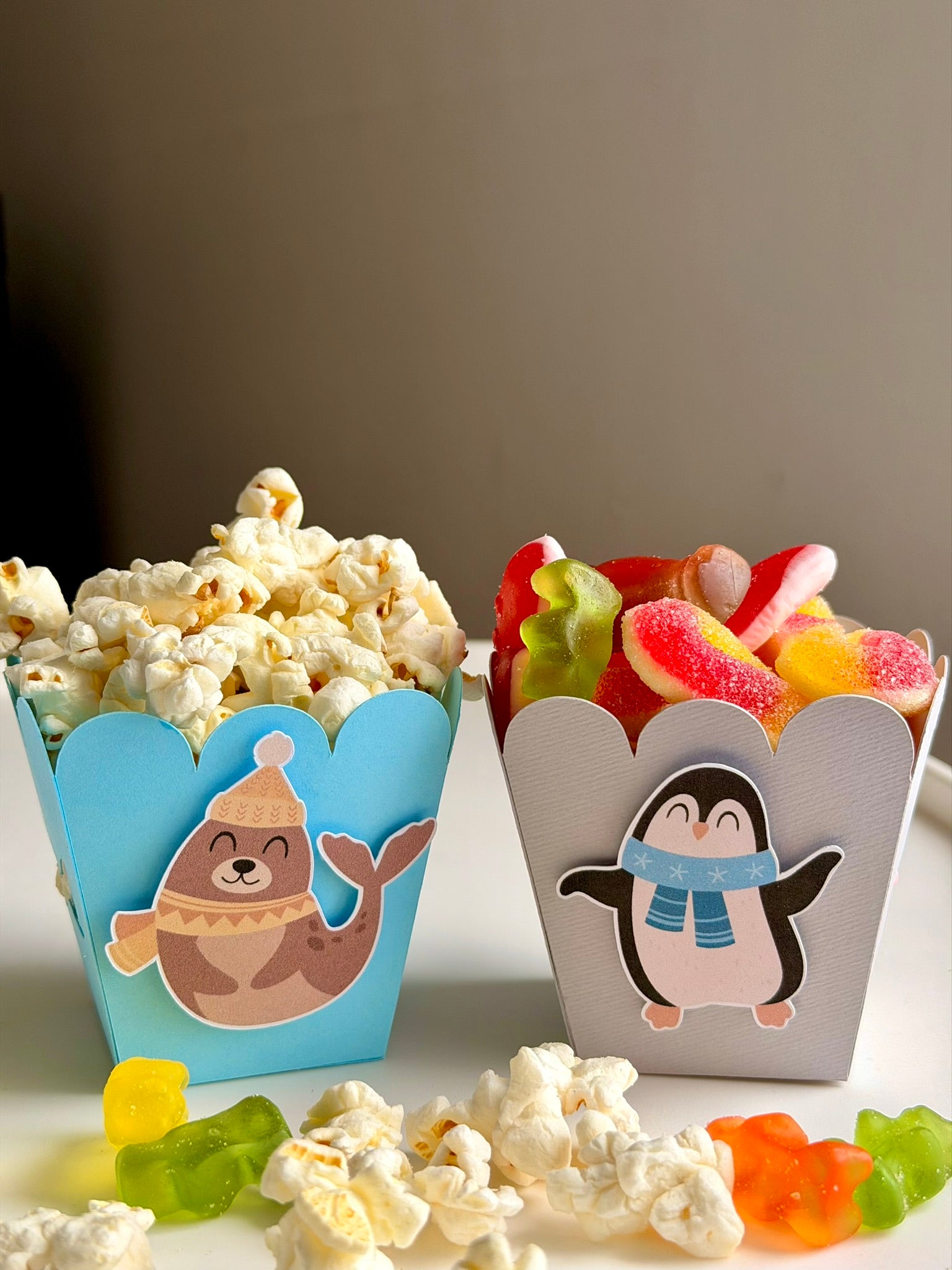 Popcorn & Treat Boxes