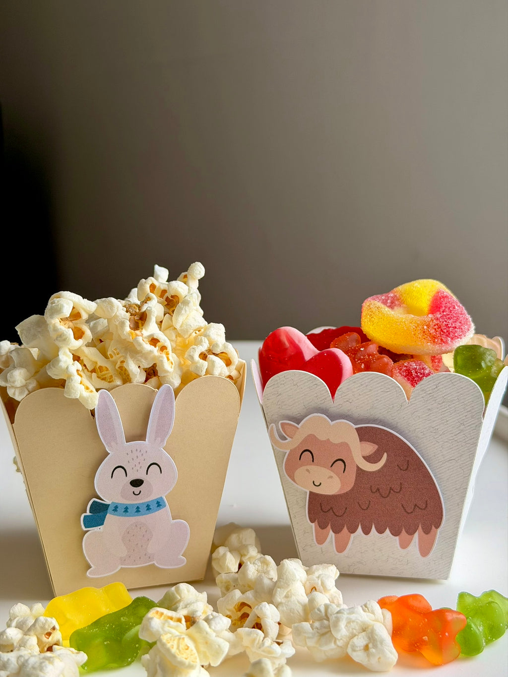 Popcorn & Treat Boxes
