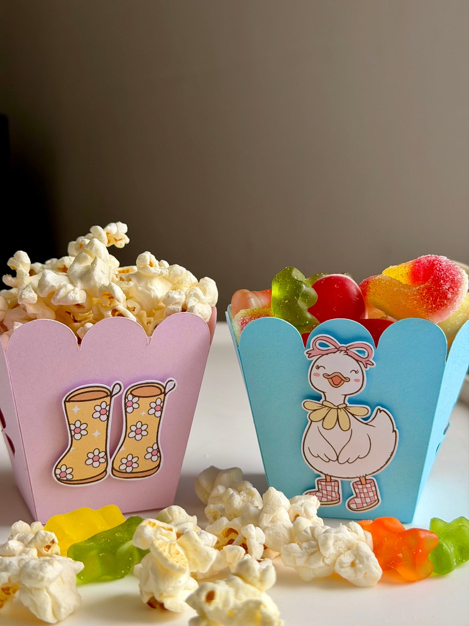 Popcorn & Treat Boxes